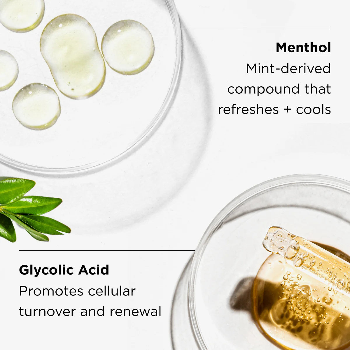 Image of IMAGE Skincare Ageless Total Facial Cleanser