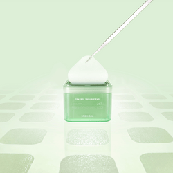 Image of Mediheal Teatree Trouble Pad 100pcs